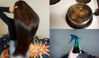 té-pelo-castaño