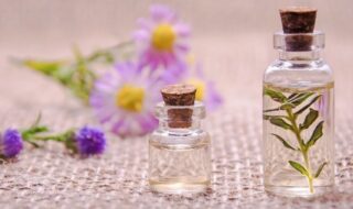 insectos-aceite-escencial