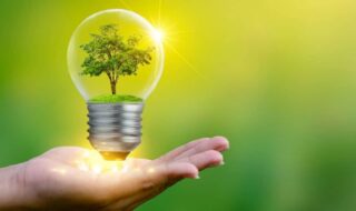 ahorrar-energia-medioambiente