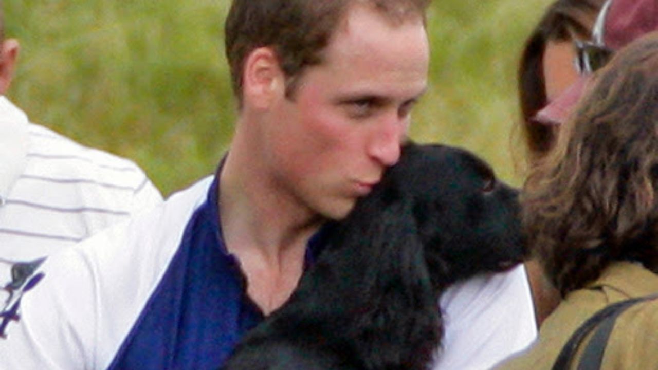 luto-william-kate-perro-lupo